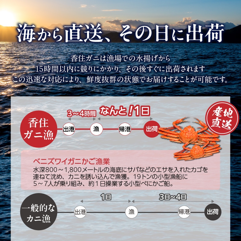 水揚げから15時間以内に競り。海から直送、その日に出荷